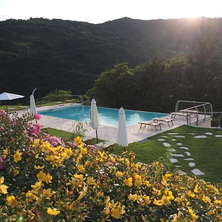 Agriturismo Corte Dei Mori บริซิเกลลา ภายนอก รูปภาพ