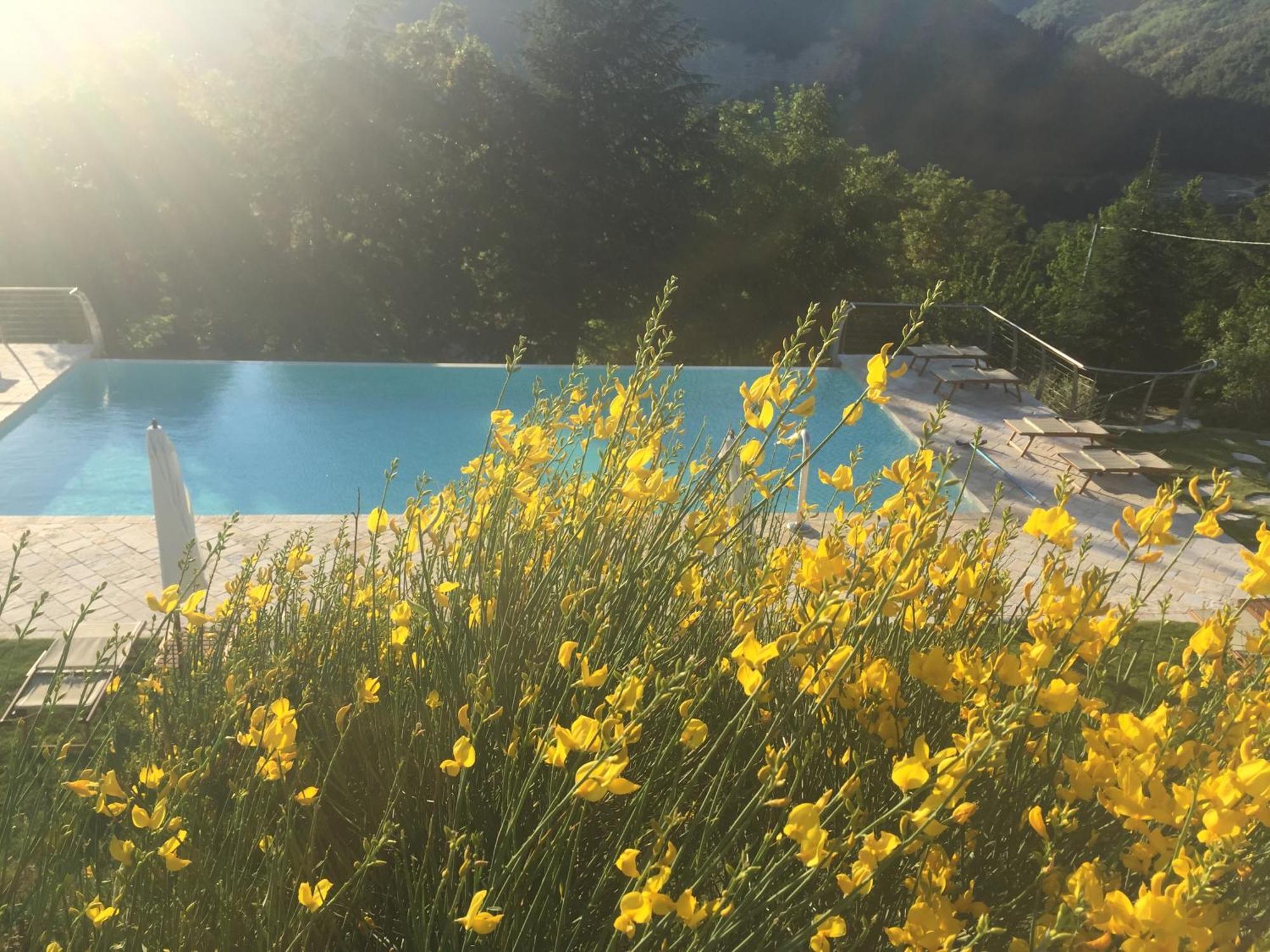 Agriturismo Corte Dei Mori บริซิเกลลา ภายนอก รูปภาพ