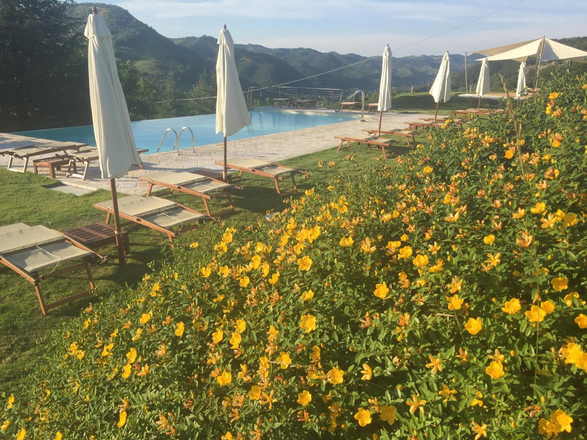 Agriturismo Corte Dei Mori บริซิเกลลา ภายนอก รูปภาพ